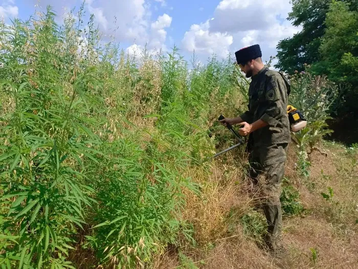 Борьба с травой