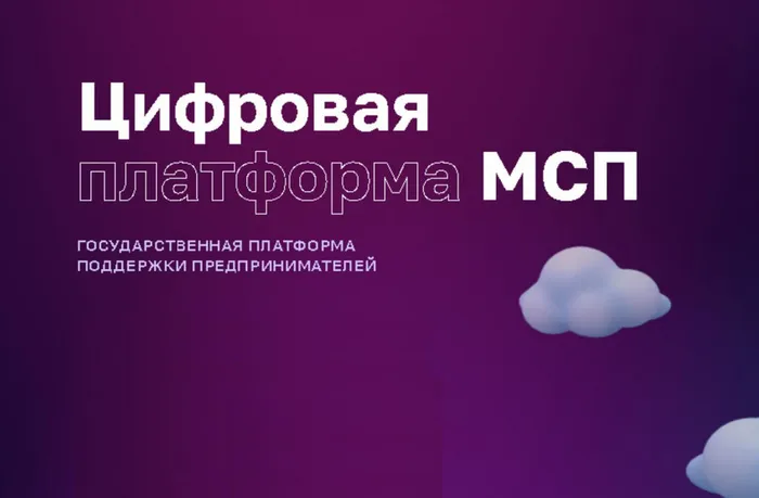 Цифровая платформа МСП