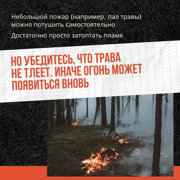Сухая трава