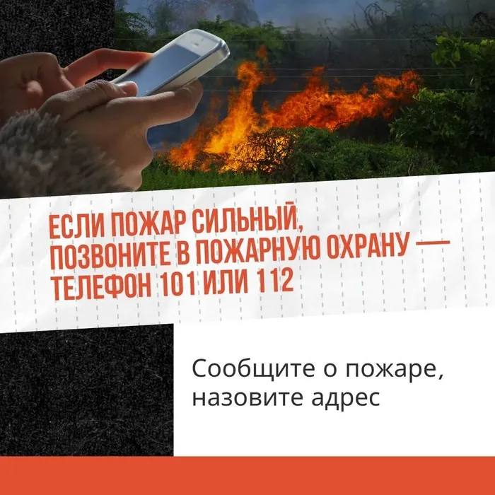 Сухая трава
