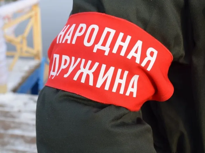 Народная дружина