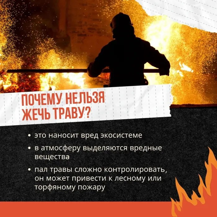 Сухая трава