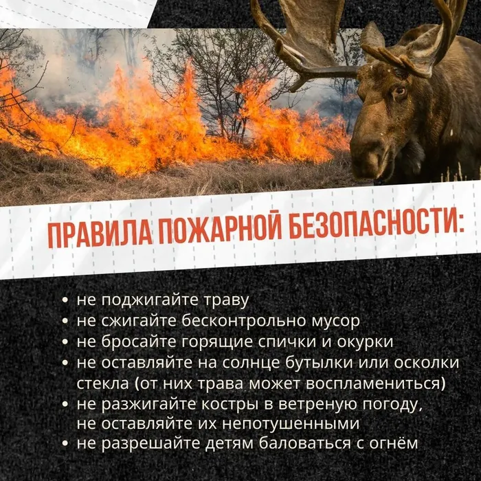 Сухая трава