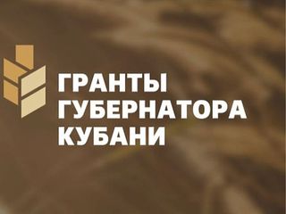 В Краснодарском крае проводят прием заявок на второй конкурс 2024 года «Грантов Губернатора Кубани».